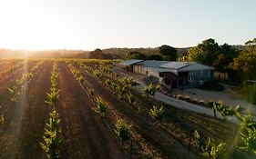 Bed In A Shed Vineyard Stay