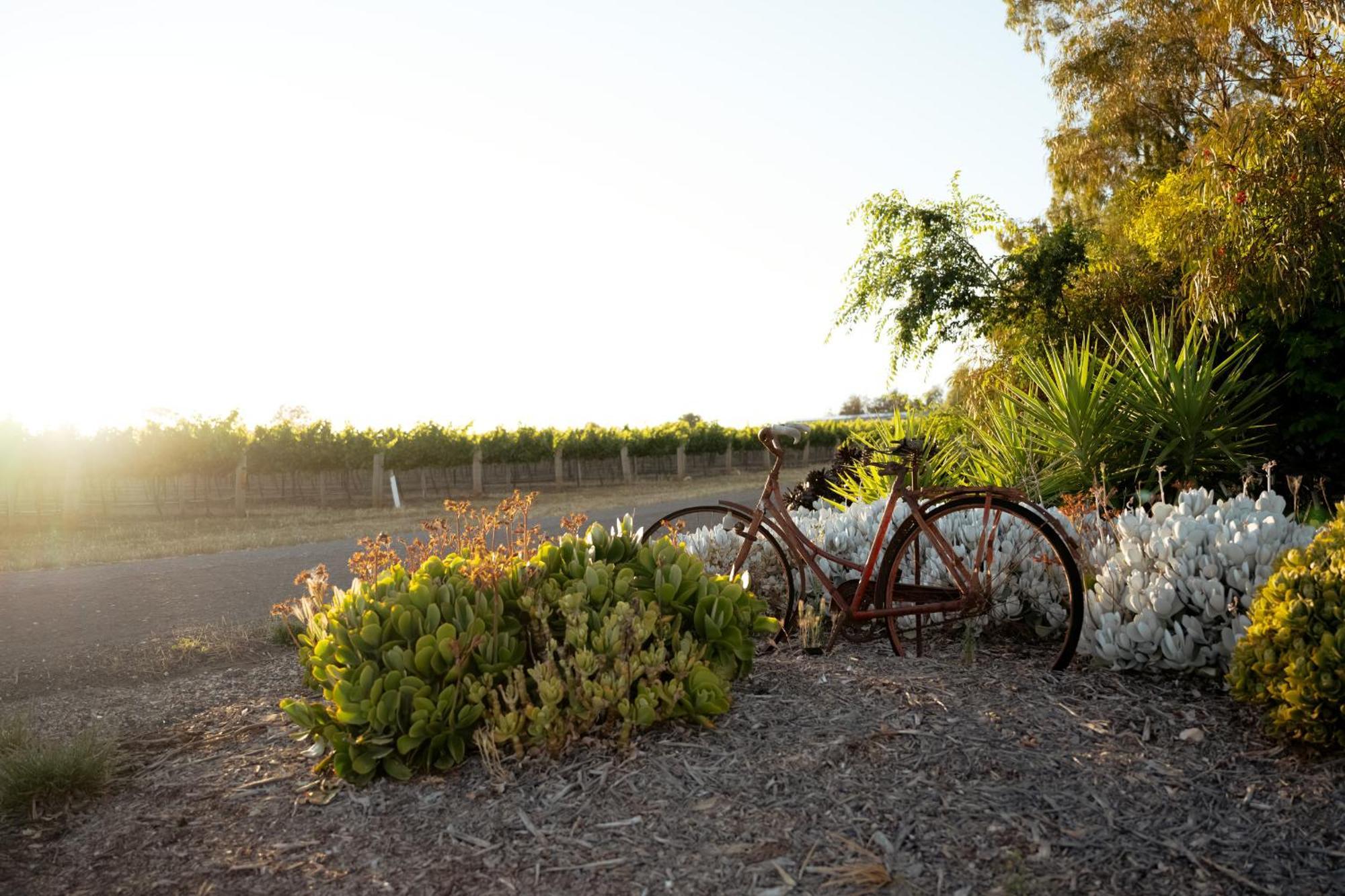 Bed In A Shed Vineyard Stay Watervale Exterior photo