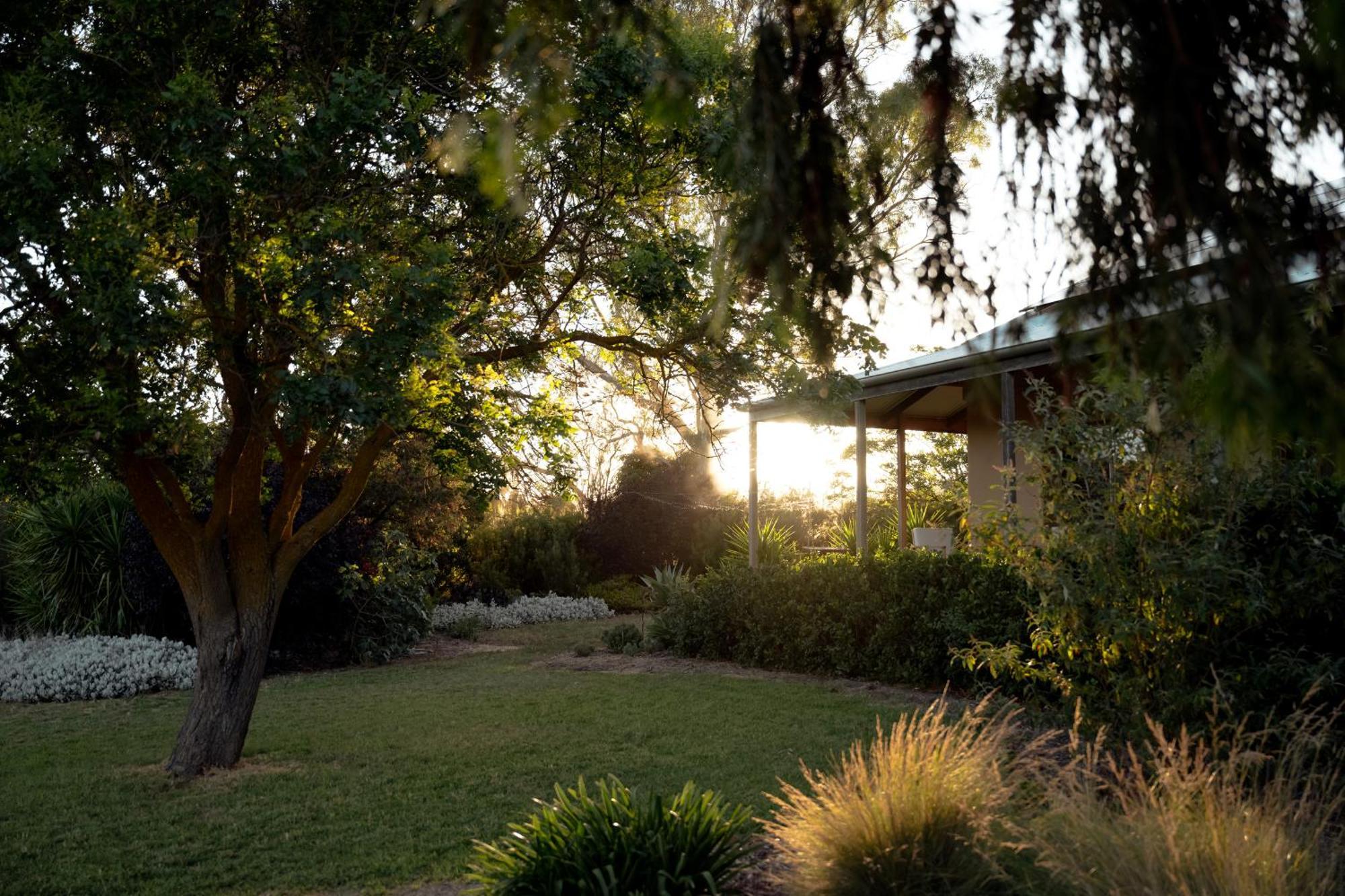 Bed In A Shed Vineyard Stay Watervale Exterior photo